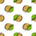 Seamless pattern with tropical fruits. Illustration in hand draw style Royalty Free Stock Photo
