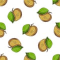 Seamless pattern with tropical fruits. Illustration in hand draw style Royalty Free Stock Photo