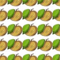 Seamless pattern with tropical fruits. Illustration in hand draw style Royalty Free Stock Photo