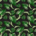 Seamless pattern of tropical green areca leaf, natural vector