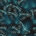 Free Stock Photo 4389 tropical background | freeimageslive