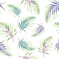 Seamless pattern with tropical leaves. Colored and bright green palm leaves on the white background. Royalty Free Stock Photo