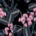 Seamless pattern with tropical leaves and exotic plants. Dark blue palm leaves and pink orchid flowers on the black background. Royalty Free Stock Photo