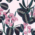 Seamless pattern with tropical leaves and exotic plants. Dark blue palm leaves and pink orchid flowers on the pink background. Royalty Free Stock Photo