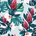 Seamless tropical flower pattern background. Tropical protea flowers, jungle leaves, on light background. Royalty Free Stock Photo