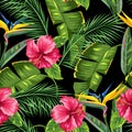 Seamless pattern with tropical leaves and flowers. Palms branches, bird of paradise flower, hibiscus Royalty Free Stock Photo