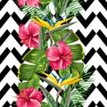 Seamless pattern with tropical leaves and flowers. Palms branches, bird of paradise flower, hibiscus Royalty Free Stock Photo