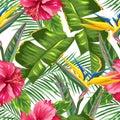 Seamless pattern with tropical leaves and flowers. Palms branches, bird of paradise flower, hibiscus Royalty Free Stock Photo