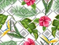 Seamless pattern with tropical leaves and flowers. Palms branches, bird of paradise flower, hibiscus Royalty Free Stock Photo