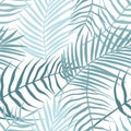 Seamless Pattern Of Tropical Leaves Of Palm Tree, Arecaceae Leaf. Exotic Collection Of Silhouette Plant. Hand Drawn Botanical