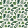 Seamless pattern with tropical leaves, palm trees and monstera. flat style. Botanical pattern with green leaves on a light Royalty Free Stock Photo