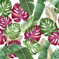 Seamless pattern with tropical leaves: palms, monstera, banana leaves, jungle leaf seamless vector pattern white background. Royalty Free Stock Photo