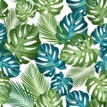 Seamless pattern with tropical leaves: palms, monstera, jungle leaf seamless vector pattern dark background. Swimwear botanical de