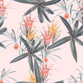 Seamless pattern with tropical leaves and paradise protea flowers. Dark and bright palm leaves on the peach background. Royalty Free Stock Photo