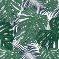 Seamless pattern with tropical leaves on a white background. Cartoon vector illustration in flat Royalty Free Stock Photo