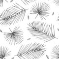 Seamless pattern tropical leaves on white background. Design for textiles and fabrics. Hand pencil drawing