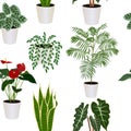 Seamless pattern of tropical modern houseplants, vector illustration