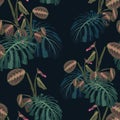 Seamless pattern with tropical monstera leaves and exotic plants. Dark and bright palm leaves on the black background. Royalty Free Stock Photo