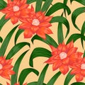 Seamless pattern with tropical orange bromeliad flowers. Exotic floral botanical background.