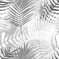 Seamless pattern of tropical palm leaves, Arecaceae leaf, brush shape. Exotic collection of silhouette plant, grunge texture. Hand Royalty Free Stock Photo