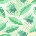 Seamless pattern of tropical palm leaves, banana leaves and brush shape. Exotic collection of plant and grunge texture. Hand drawn Royalty Free Stock Photo