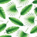 Seamless pattern of tropical palm leaves, banana and palmate leaves. Exotic collection of green plant. Hand drawn botanical vector Royalty Free Stock Photo