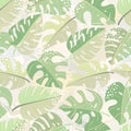 Seamless pattern of tropical palm leaves, jungle Monstera leaves and brush shape. Exotic collection of plants and grunge texture.