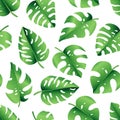 Seamless pattern of tropical palm leaves, jungle Monstera leaves. Exotic collection of green plant. Hand drawn botanical vector Royalty Free Stock Photo