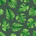 Seamless pattern of tropical palm leaves, jungle Monstera leaves. Exotic collection of green plant. Hand drawn botanical vector Royalty Free Stock Photo