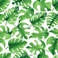 Seamless pattern of tropical palm leaves, jungle Monstera leaves. Exotic collection of green plant. Hand drawn botanical vector Royalty Free Stock Photo