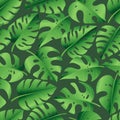 Seamless pattern of tropical palm leaves, jungle Monstera leaves. Exotic collection of green plant. Hand drawn botanical vector Royalty Free Stock Photo