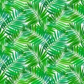 Seamless pattern with tropical palm leaves Royalty Free Stock Photo