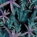 Seamless pattern with tropical plants. Dark and bright palm leaves on the black background. Royalty Free Stock Photo
