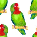 Seamless pattern tropical Red-cheeked lovebird parrot. watercolor illustration