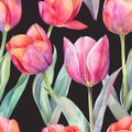 Seamless pattern with tulips.