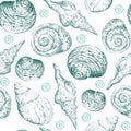 Seamless pattern turquoise hand drawn seashells vector illustration