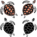 set of four turtles on the isolated white background