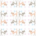 Seamless pattern of two different colored cats go in different d