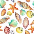 Seamless pattern with underwater life objects, on white background. Marine design-shell, sea star. Watercolor hand drawn