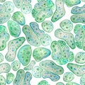 Seamless pattern of unicellular green blue algae chlorella spirulina with large cells single-cells with lipid weed Royalty Free Stock Photo