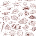 Seamless pattern Unique museum collection of sea shells rare endangered species, molluscs Gastropoda Bivalvia Venus comb murex Cor