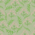 Seamless Pattern with Different Parts of Valeriana