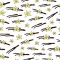 Seamless pattern with vanilla. Royalty Free Stock Photo