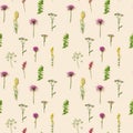 Seamless pattern from varied forest grass and meadow flowers. Flat lay made natural plants Royalty Free Stock Photo