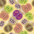 Seamless pattern with variety Lithops. Series of different succulent plants