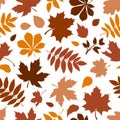 Seamless pattern with various brown autumn leaves on white. Vector illustration. Royalty Free Stock Photo