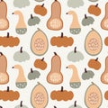 Seamless pattern with various colorful whole and cut pumpkins. Thanksgiving or Halloweeen concept. Autumn vegetable tile