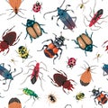 Seamless pattern of various insects on a white background. Vector illustration of multicolored beetles Royalty Free Stock Photo