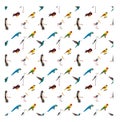 Seamless pattern with various kinds of birds on white background