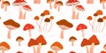 Seamless pattern with various mushrooms. Autumn repeat design with fungi.